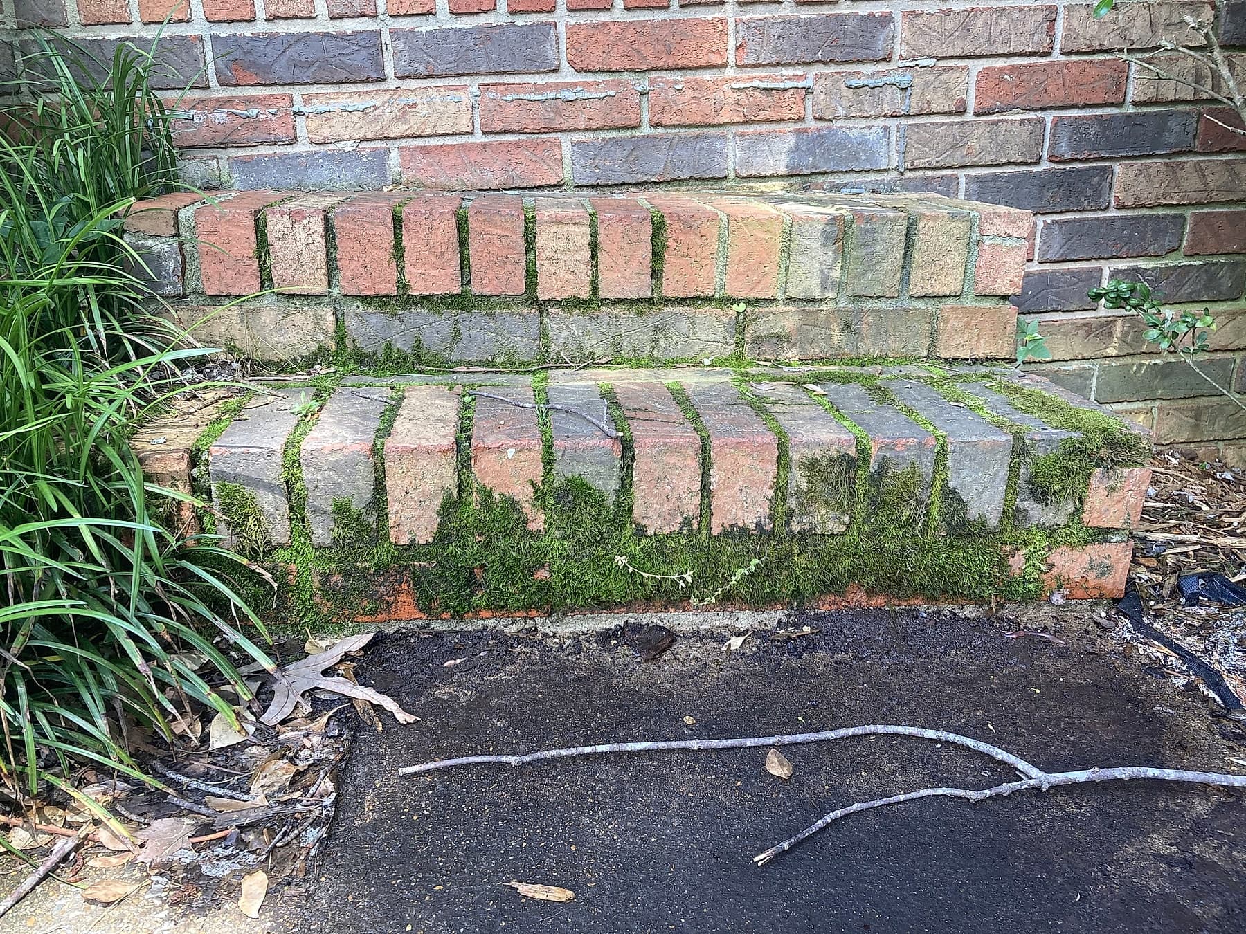 Moss-covered brick steps before cleaning