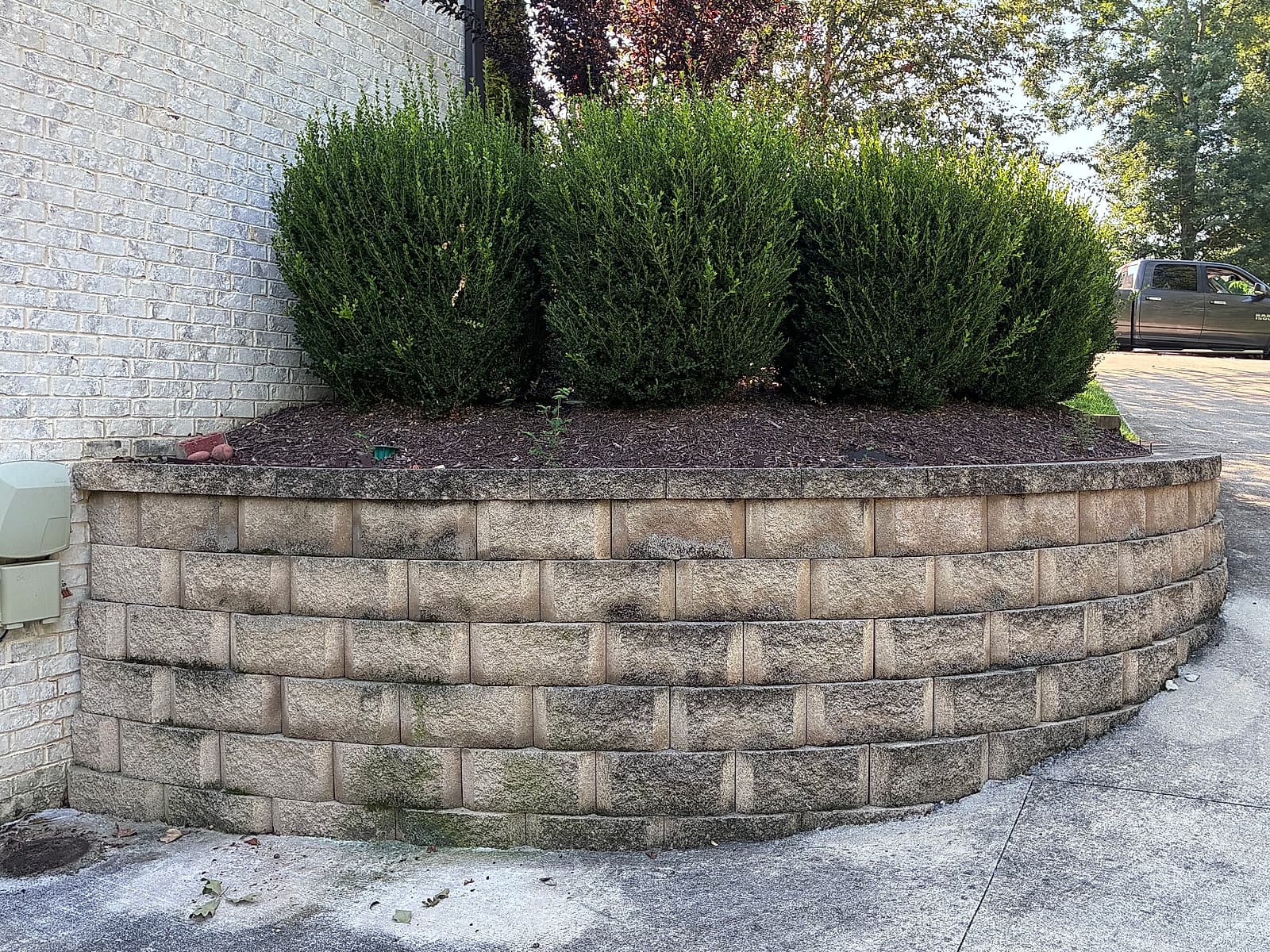 Moss- and mildew-streaked curved retaining wall before pressure washing